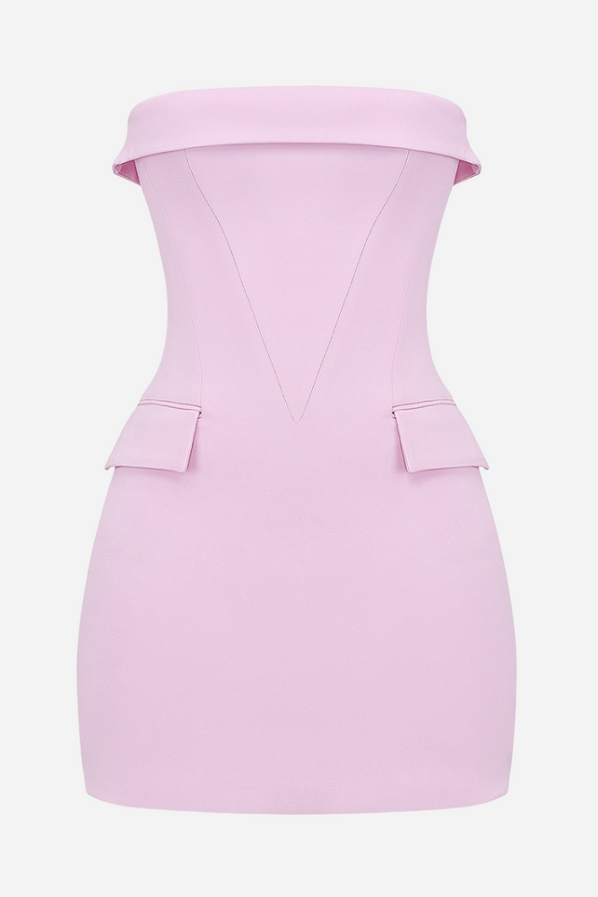 Veronica Blush Mini Dress